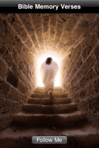 Image that appeared on Anna's phone when she plugged it in to charge two weeks after the accident. (Copied from her blog post.)